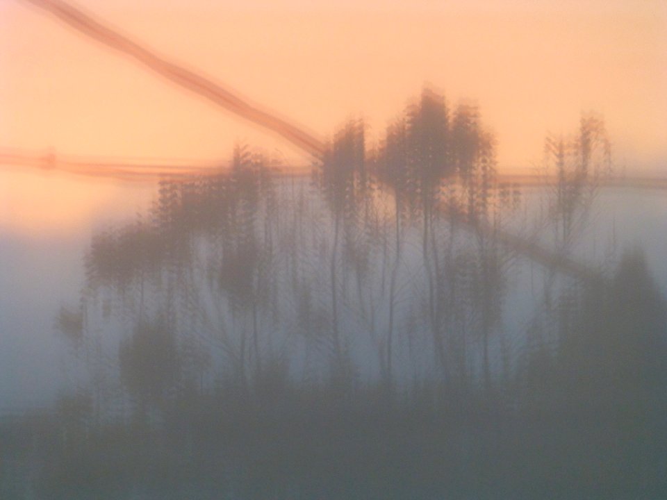 P1000995 