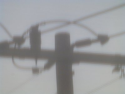P1000999 