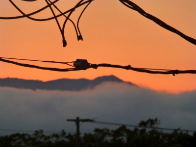 P1020004 