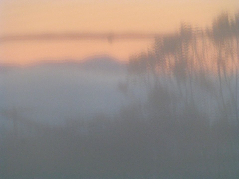 P1020010 