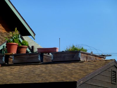 P1020022 