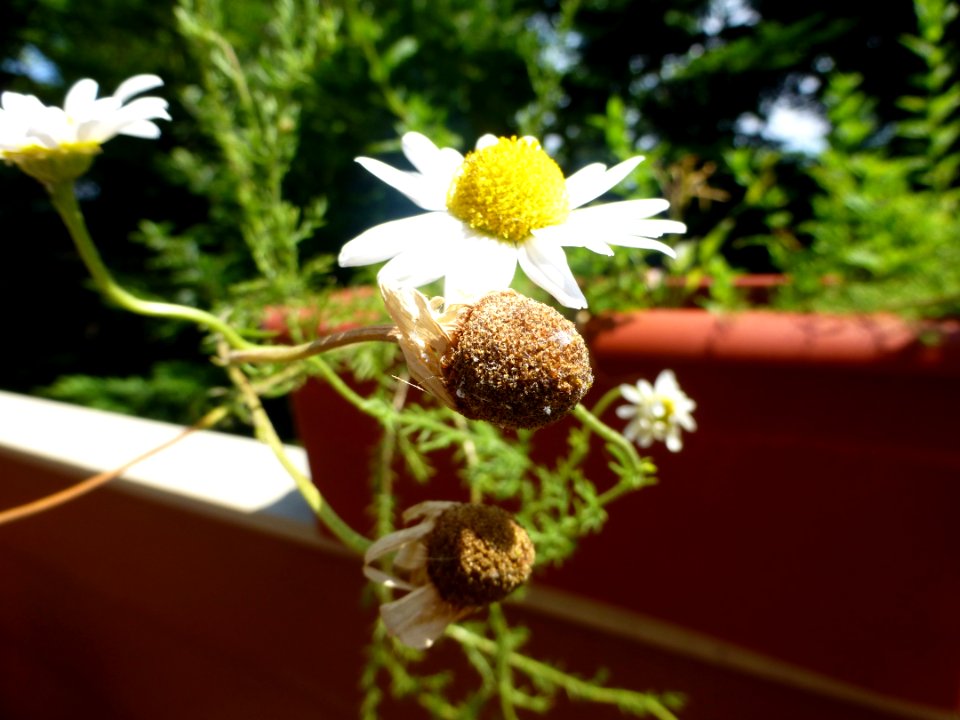 P1020020 