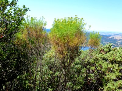 P1020042 