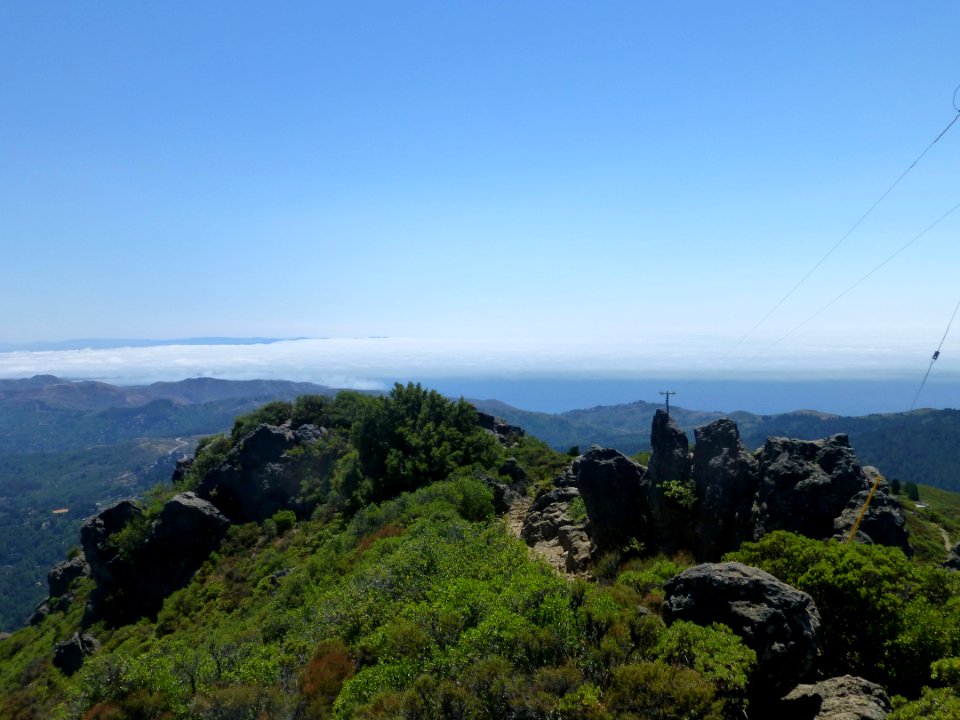 P1020055 