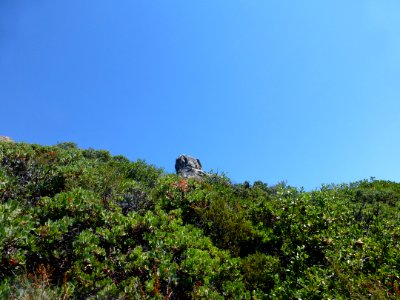 P1020073 