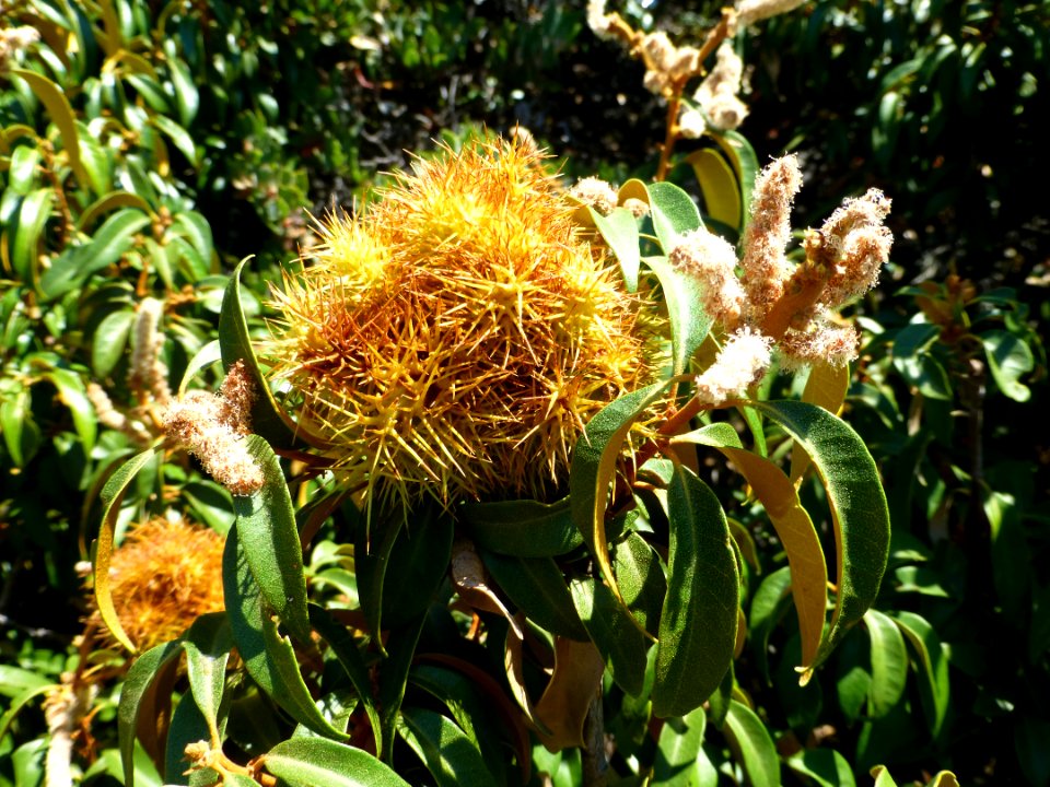 P1020072 