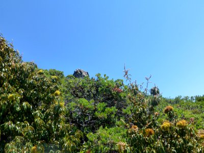 P1020071 