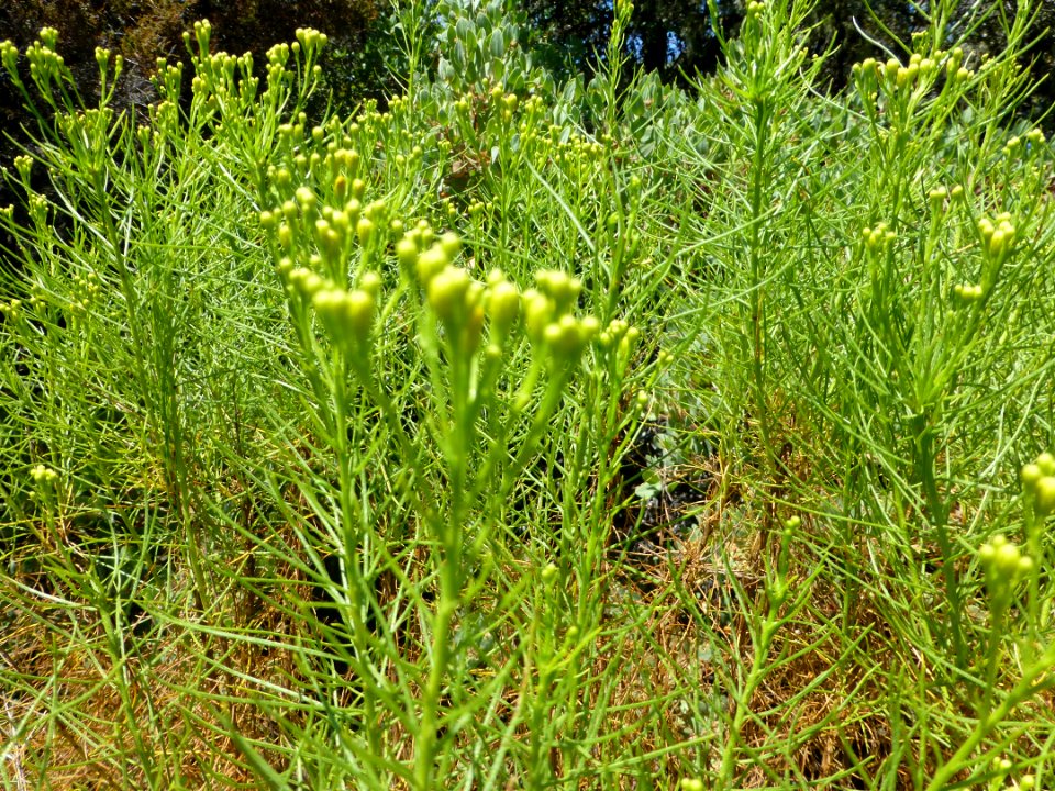 P1020080 