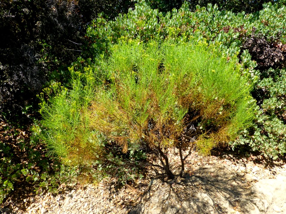 P1020079 