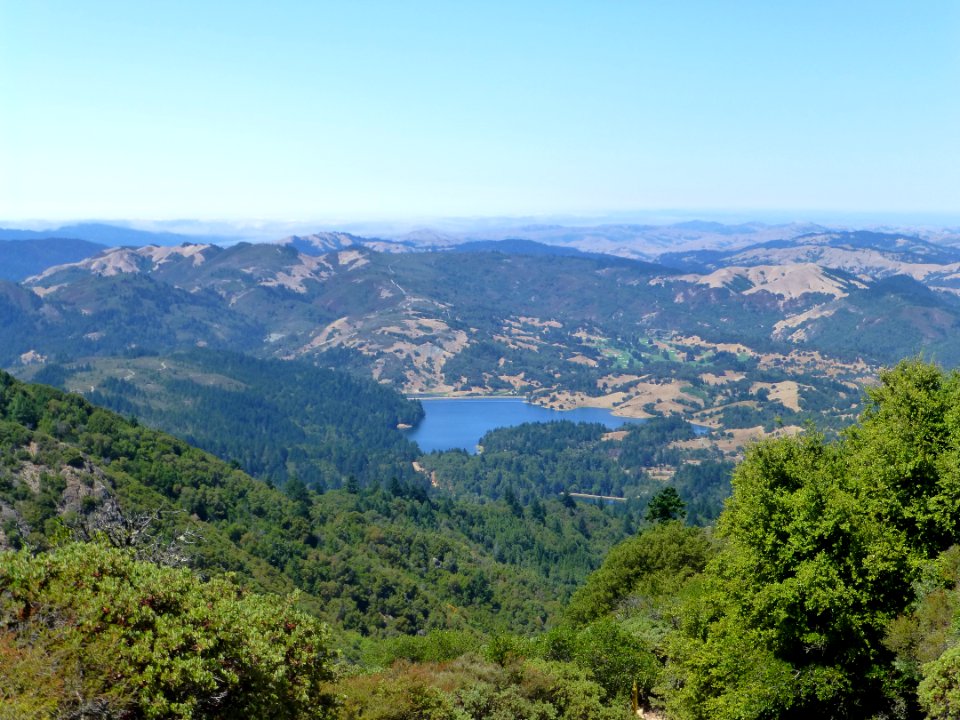 P1020084 
