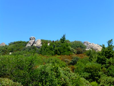 P1020085 