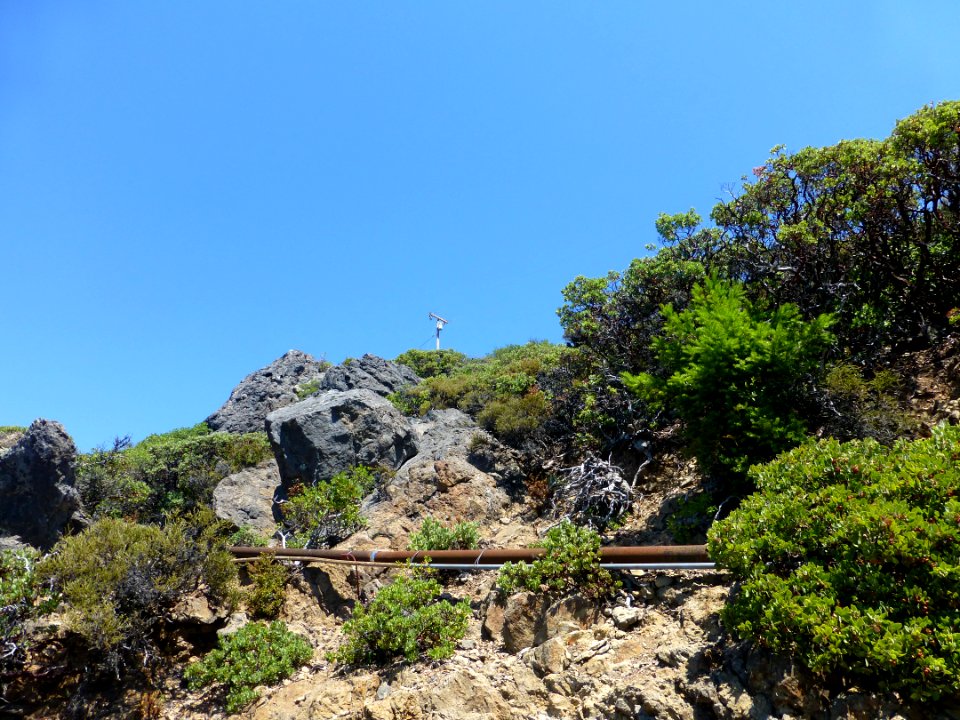 P1020092 