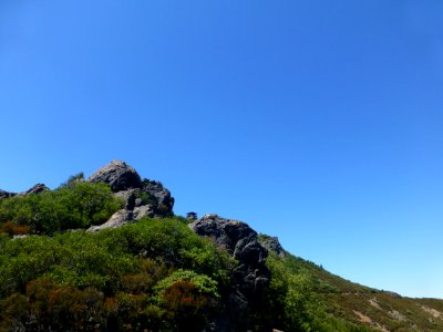 P1020125 