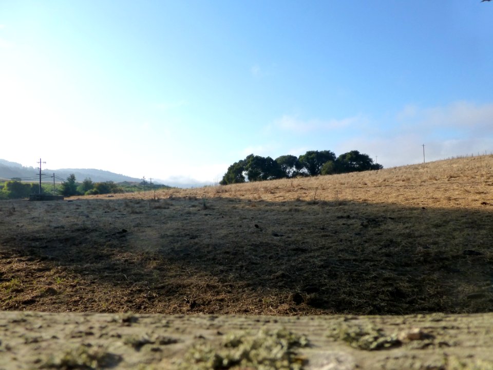 P1020151 