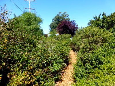 P1020242 