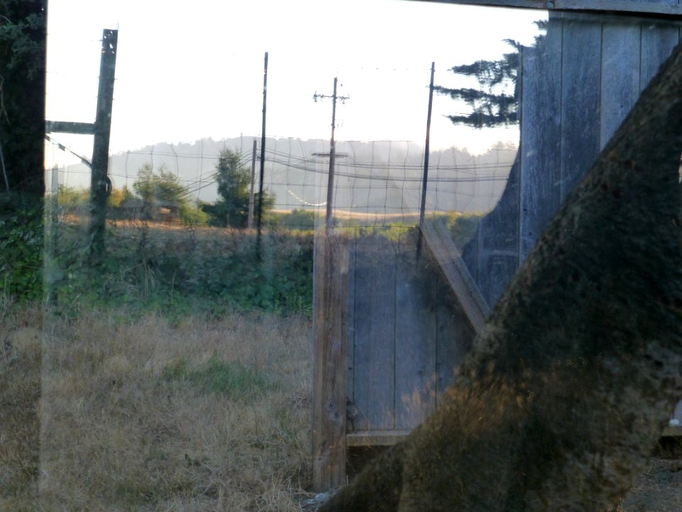 P1020261 