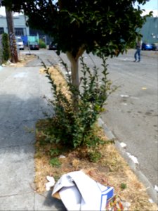 P1020374 
