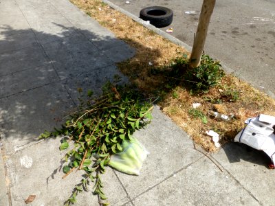 P1020376 
