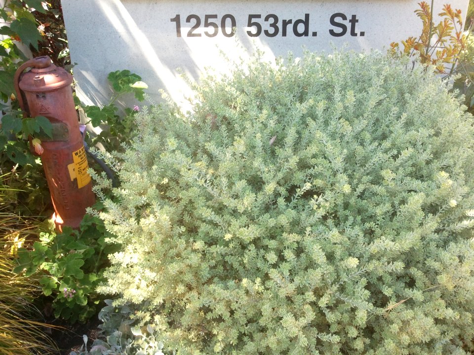 2012-08-10%2014.59.46 