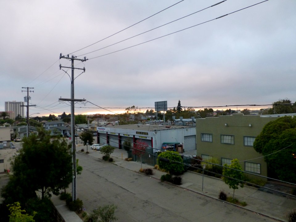 P1020384 