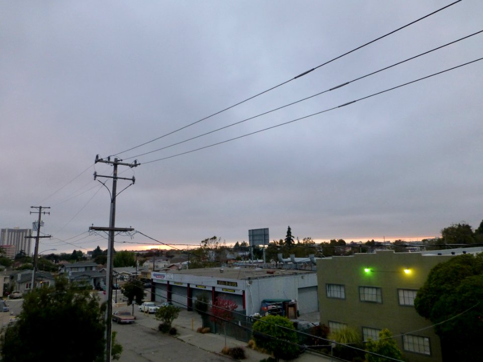 P1020389 