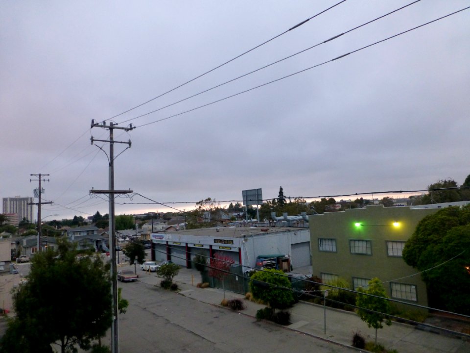 P1020391 