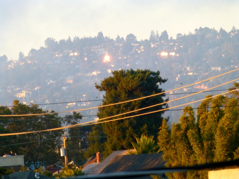 P1020466 