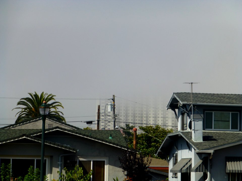P1020461 