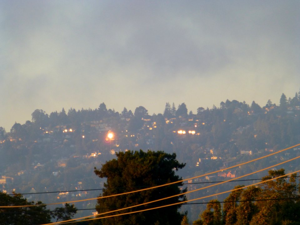 P1020465 