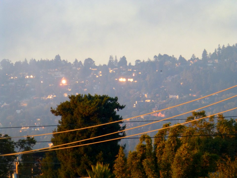 P1020467 