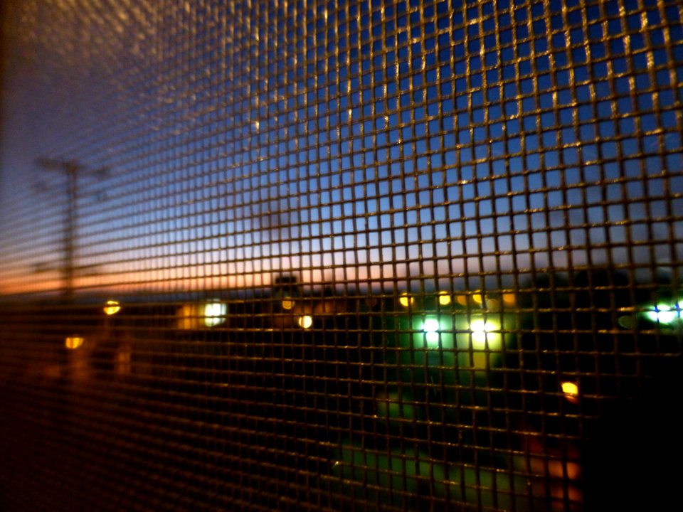 P1020589 