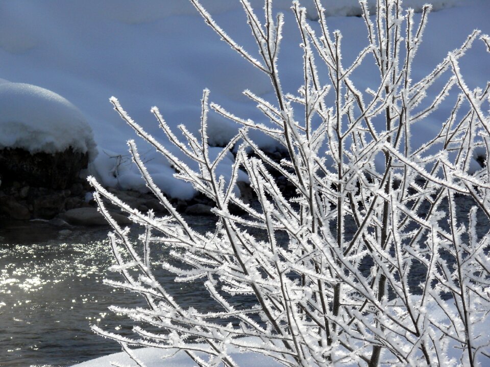 Frozen crystals snow