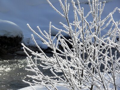 Frozen crystals snow