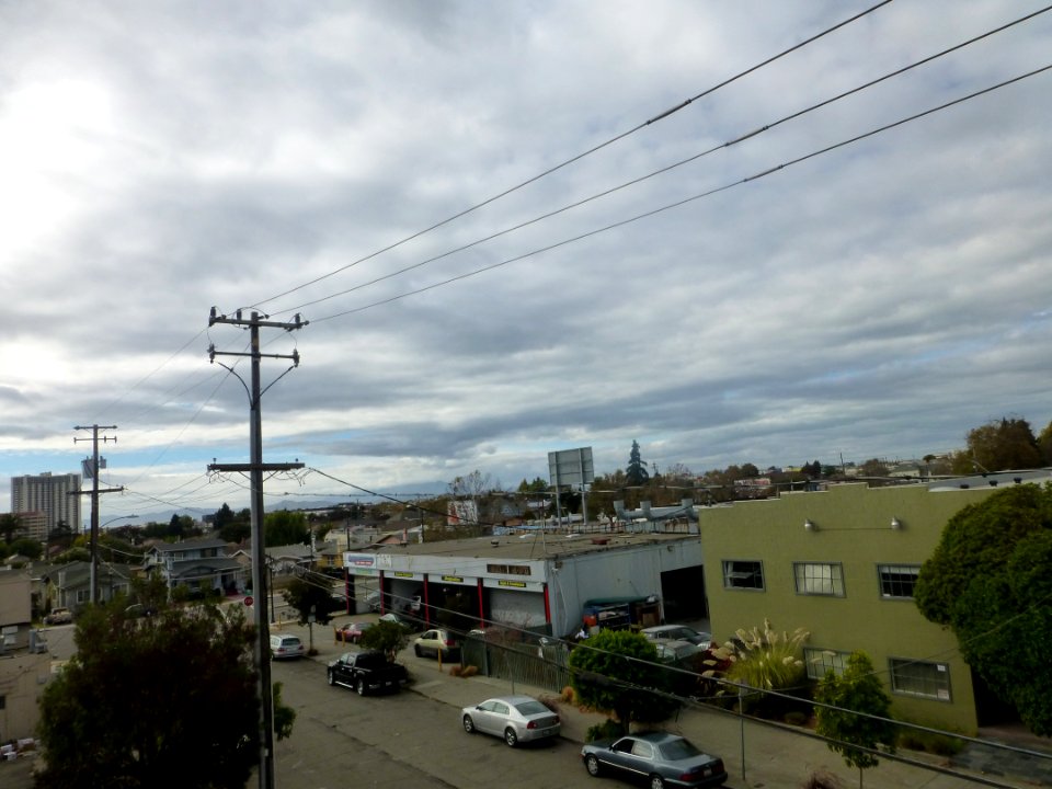 P1030106 