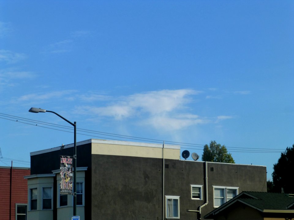P1030113 