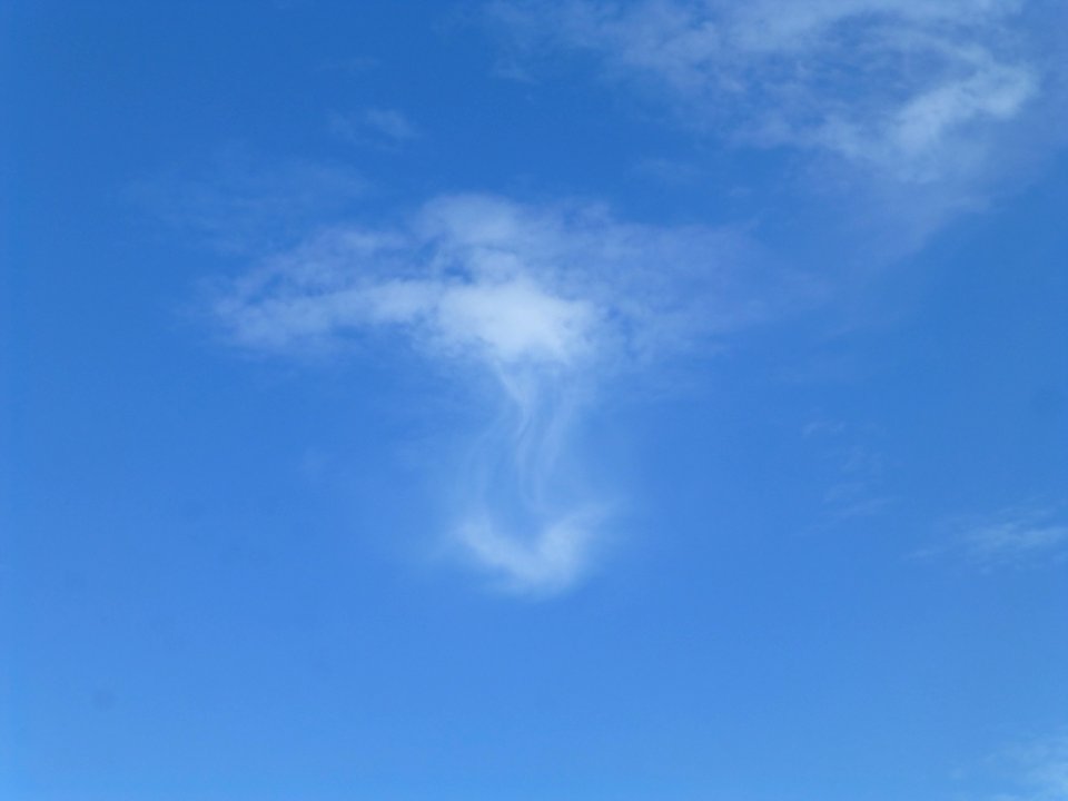 P1030115 