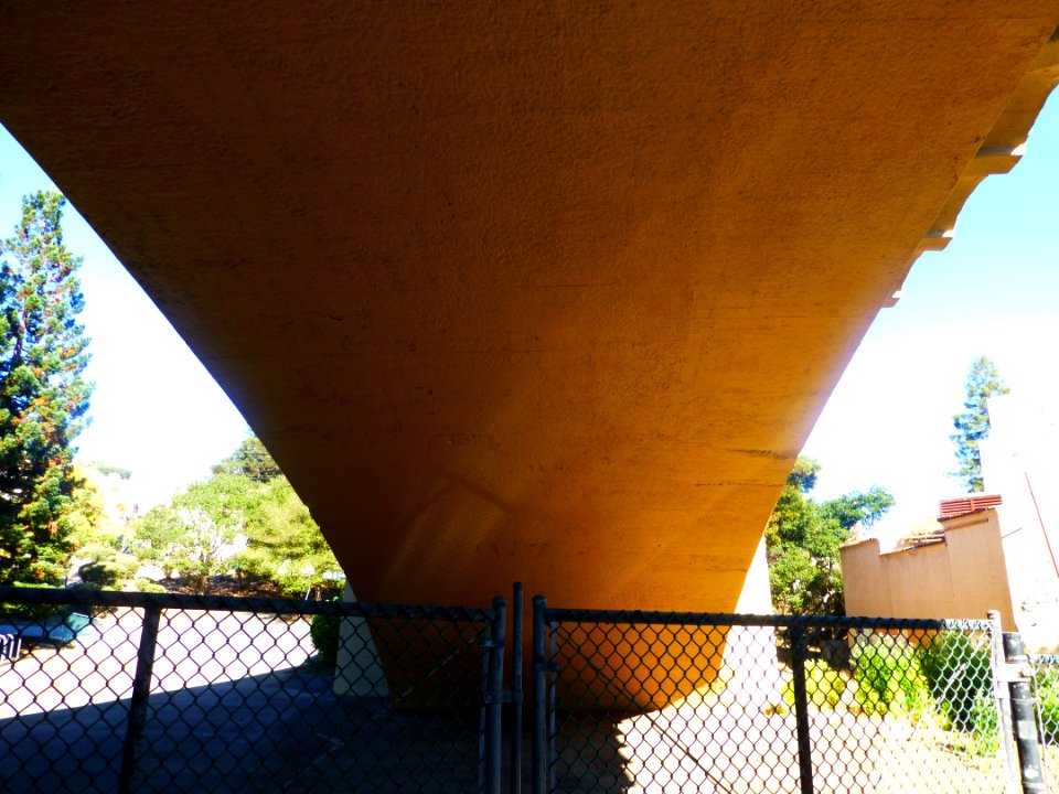 P1030137 