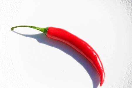 Vegetable pepper paprika photo