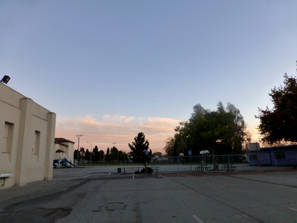 P1030154 