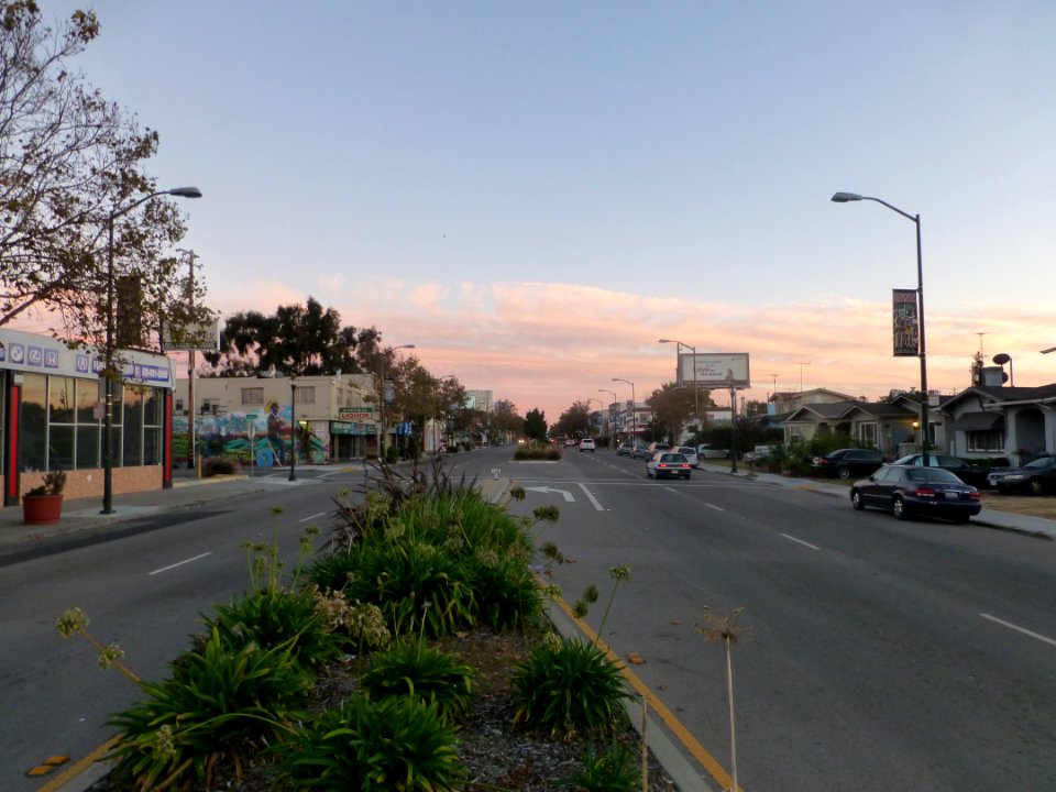 P1030156 