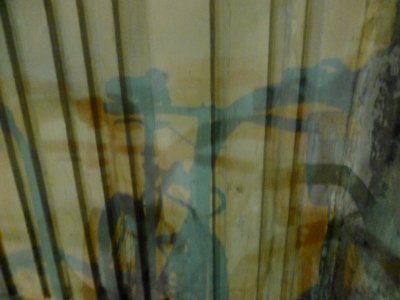 P1030184 