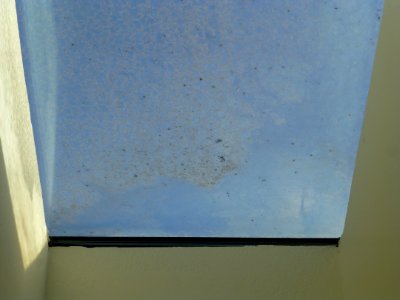 P1030195 