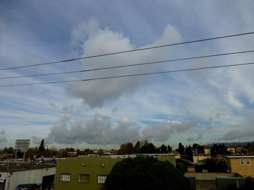 P1030236 