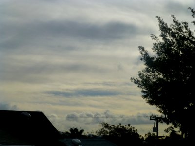 P1030244 