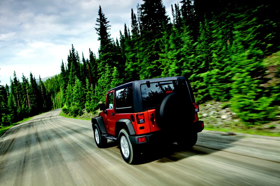 Wrangler jeep trees photo