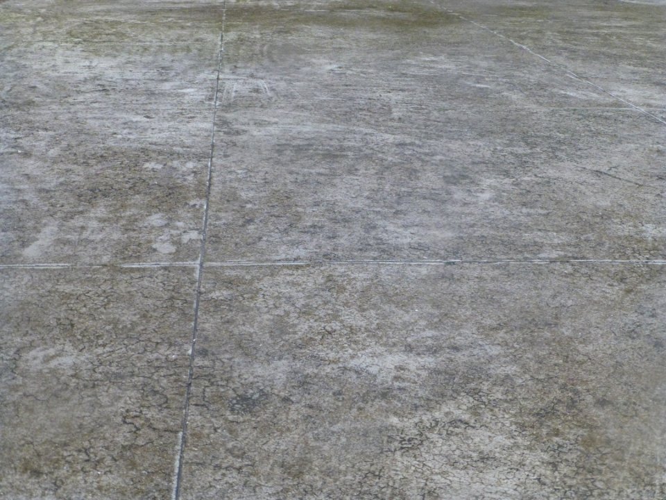 P1030287 
