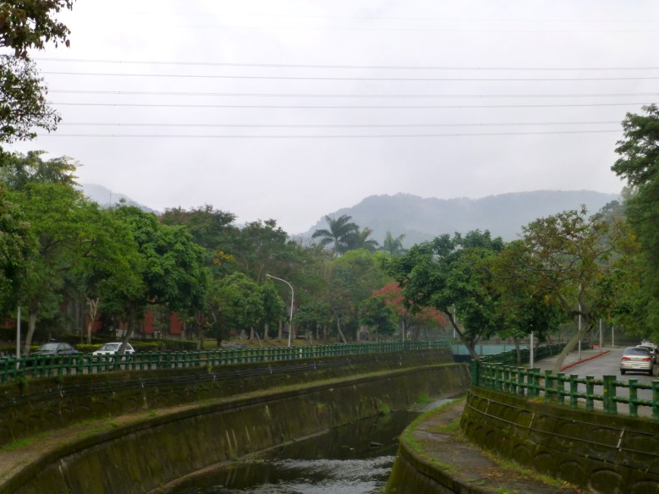 P1030291 