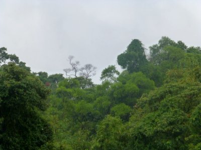 P1030347 