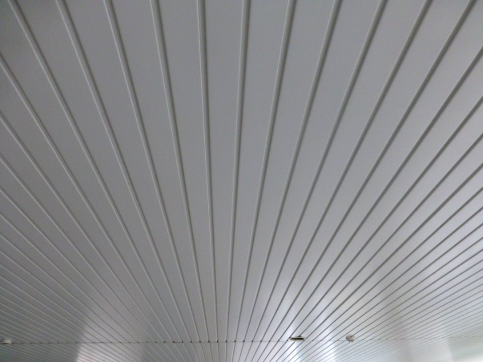 P1030358 