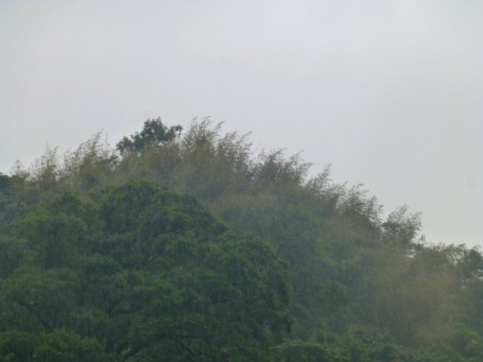 P1030365 